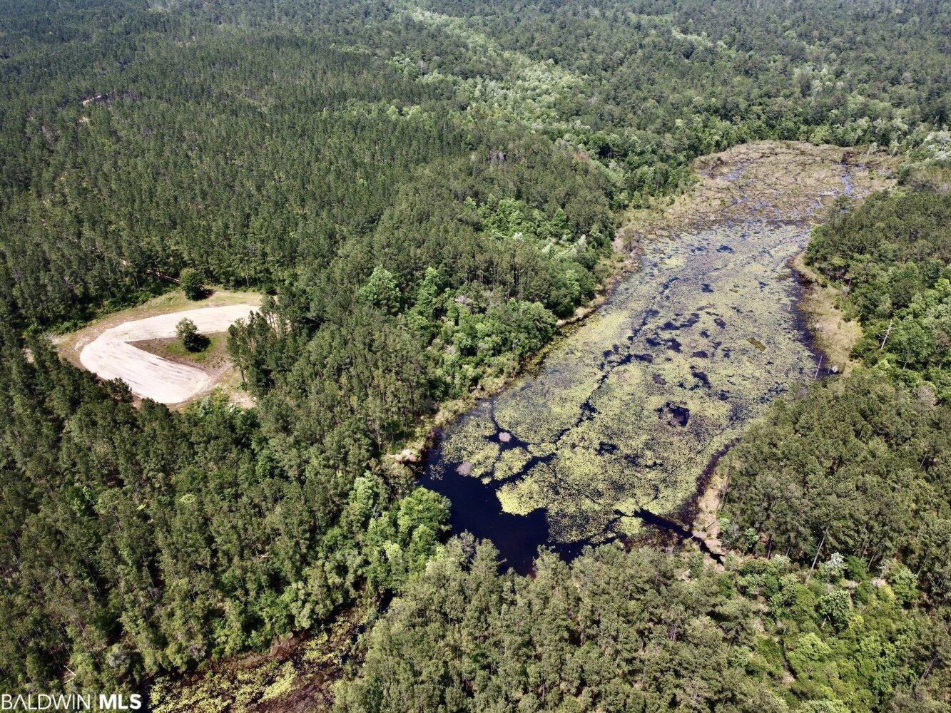 0 St Hwy 59, Stockton, AL, 36507