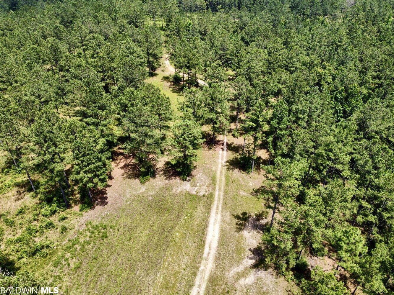 0 St Hwy 59, Stockton, AL, 36507