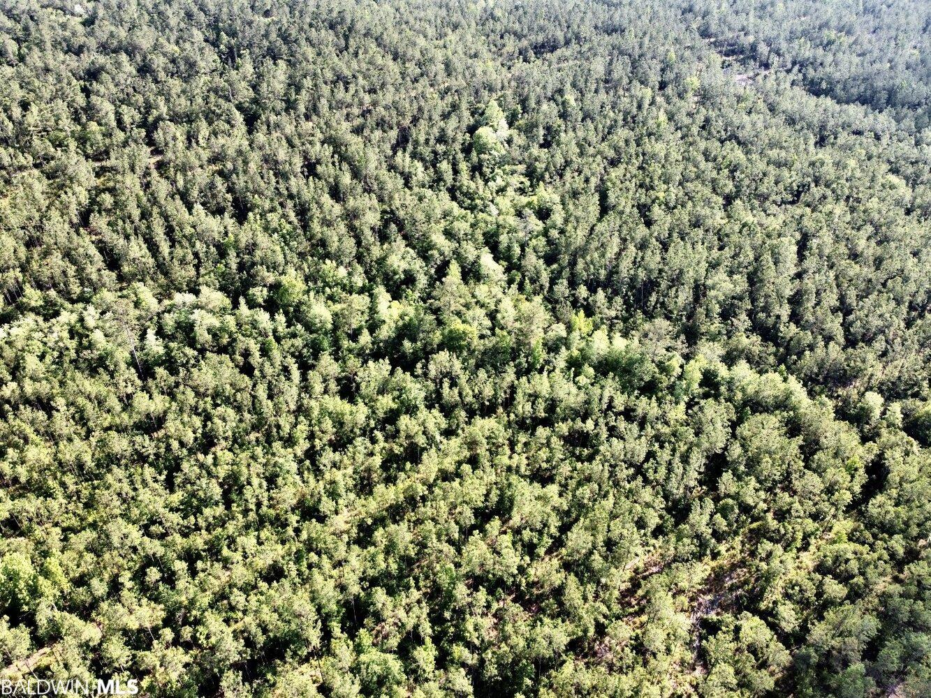 0 St Hwy 59, Stockton, AL, 36507