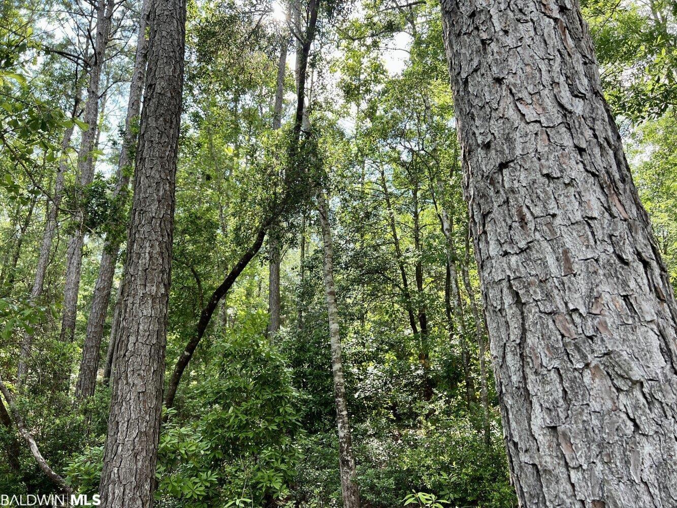 0 St Hwy 59, Stockton, AL, 36507