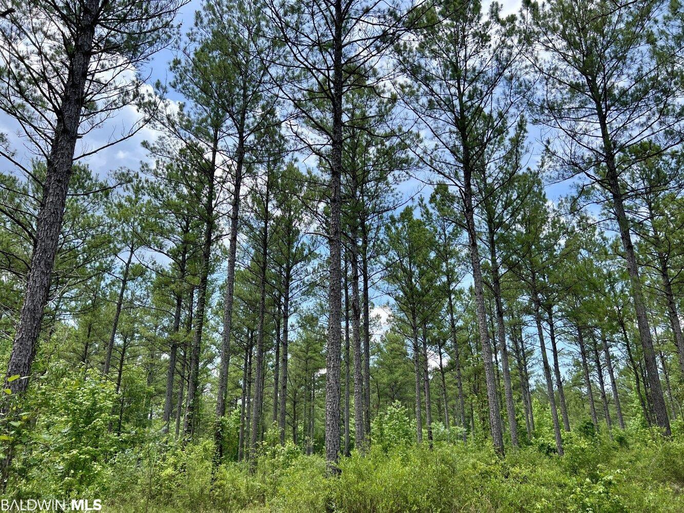 0 St Hwy 59, Stockton, AL, 36507