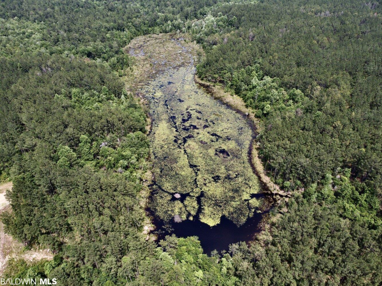 0 St Hwy 59, Stockton, AL, 36507