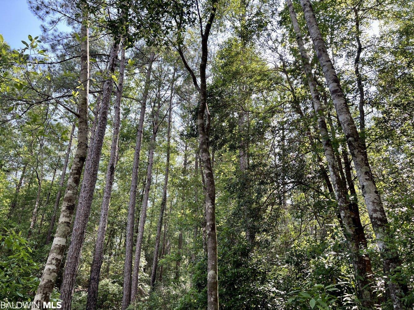 0 St Hwy 59, Stockton, AL, 36507