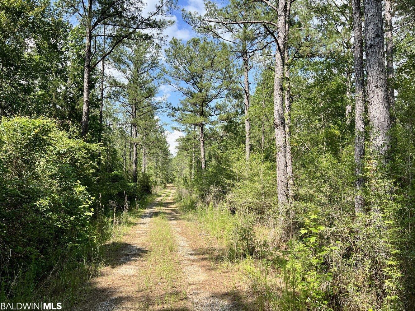 0 St Hwy 59, Stockton, AL, 36507