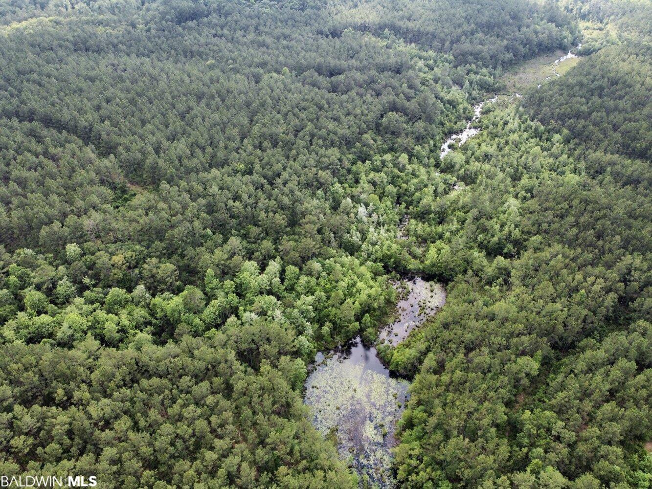 0 St Hwy 59, Stockton, AL, 36507