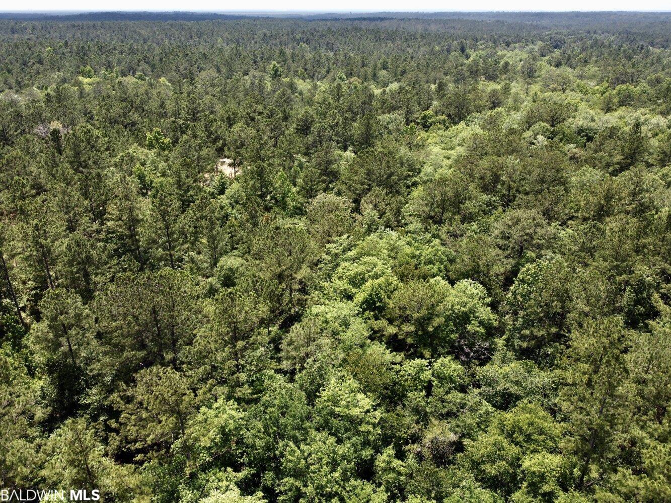 0 St Hwy 59, Stockton, AL, 36507