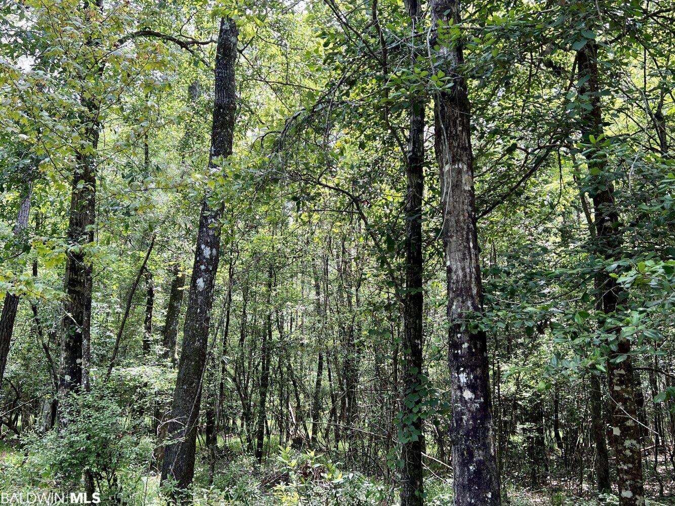 0 St Hwy 59, Stockton, AL, 36507