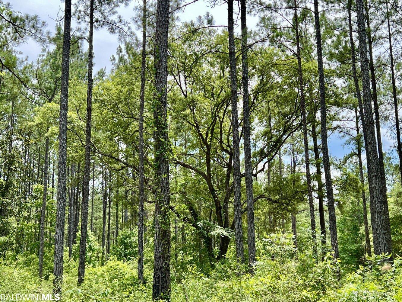 0 St Hwy 59, Stockton, AL, 36507