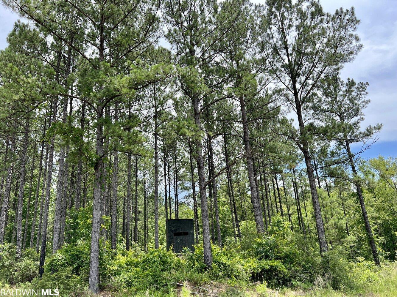 0 St Hwy 59, Stockton, AL, 36507