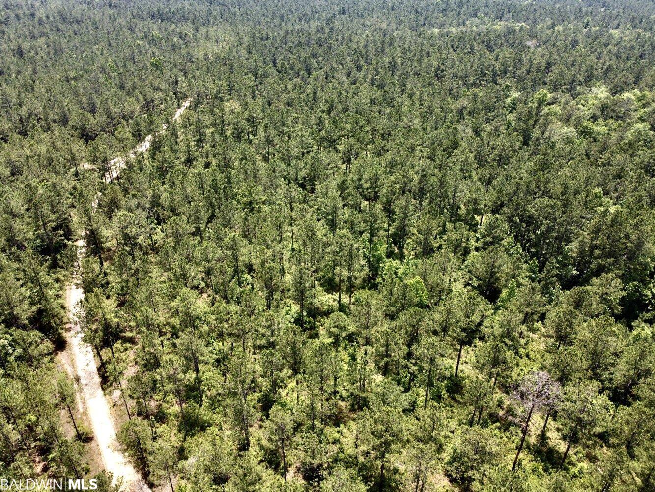 0 St Hwy 59, Stockton, AL, 36507