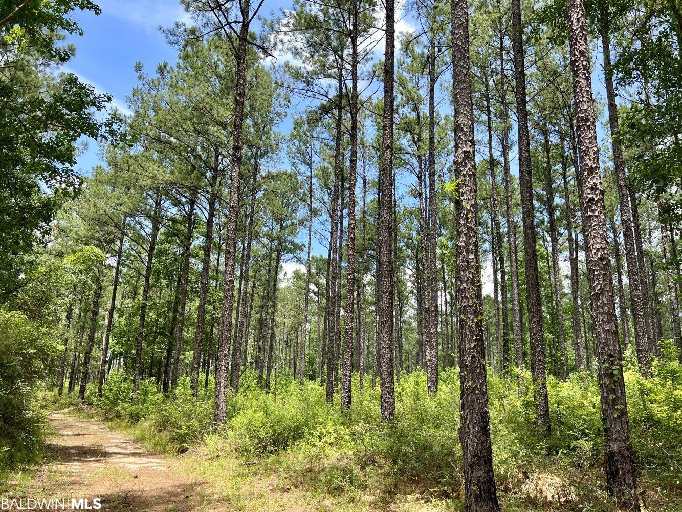 0 St Hwy 59, Stockton, AL, 36507