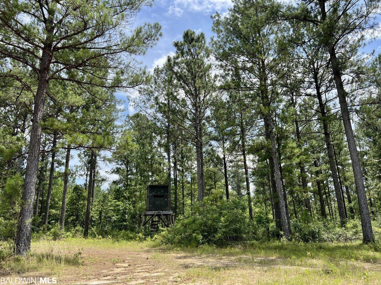 0 St Hwy 59, Stockton, AL, 36507