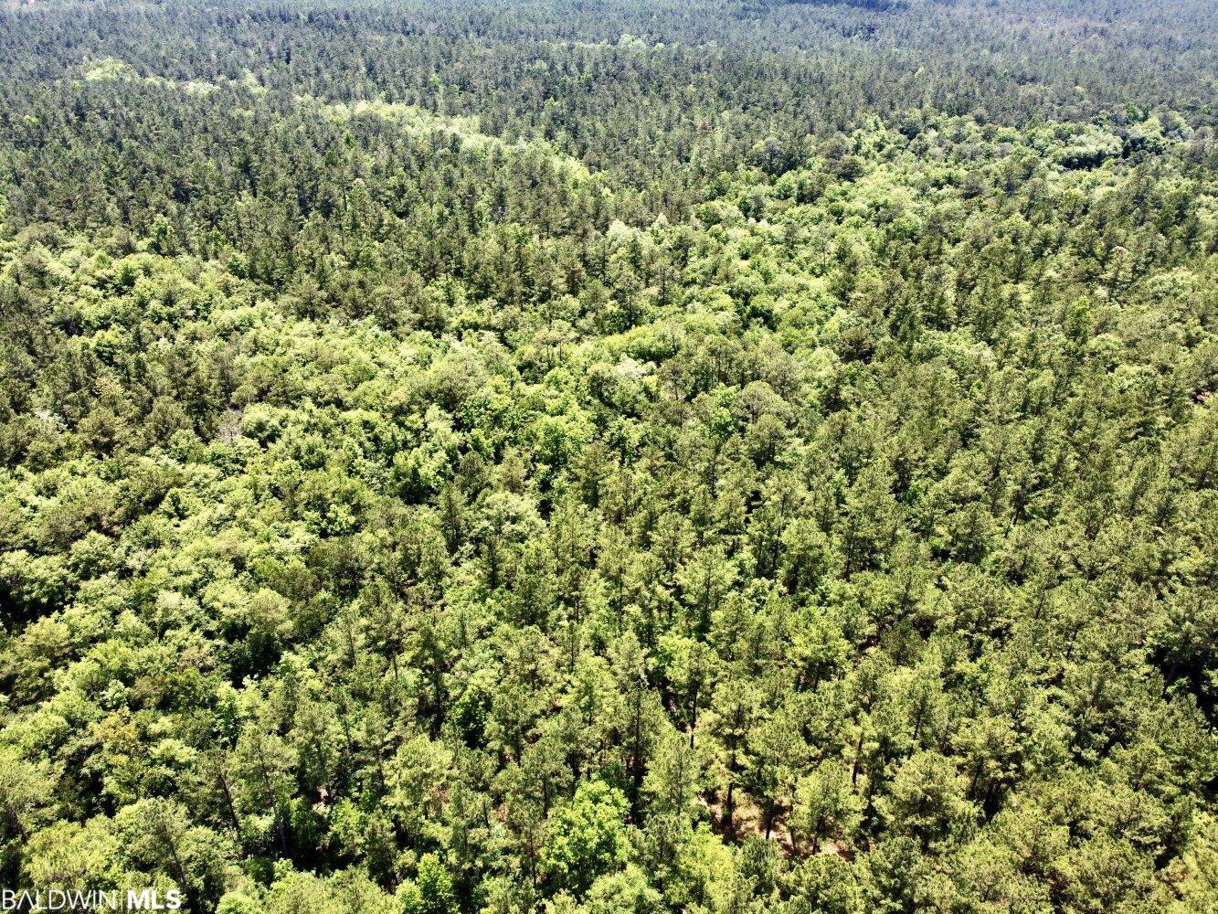 0 St Hwy 59, Stockton, AL, 36507