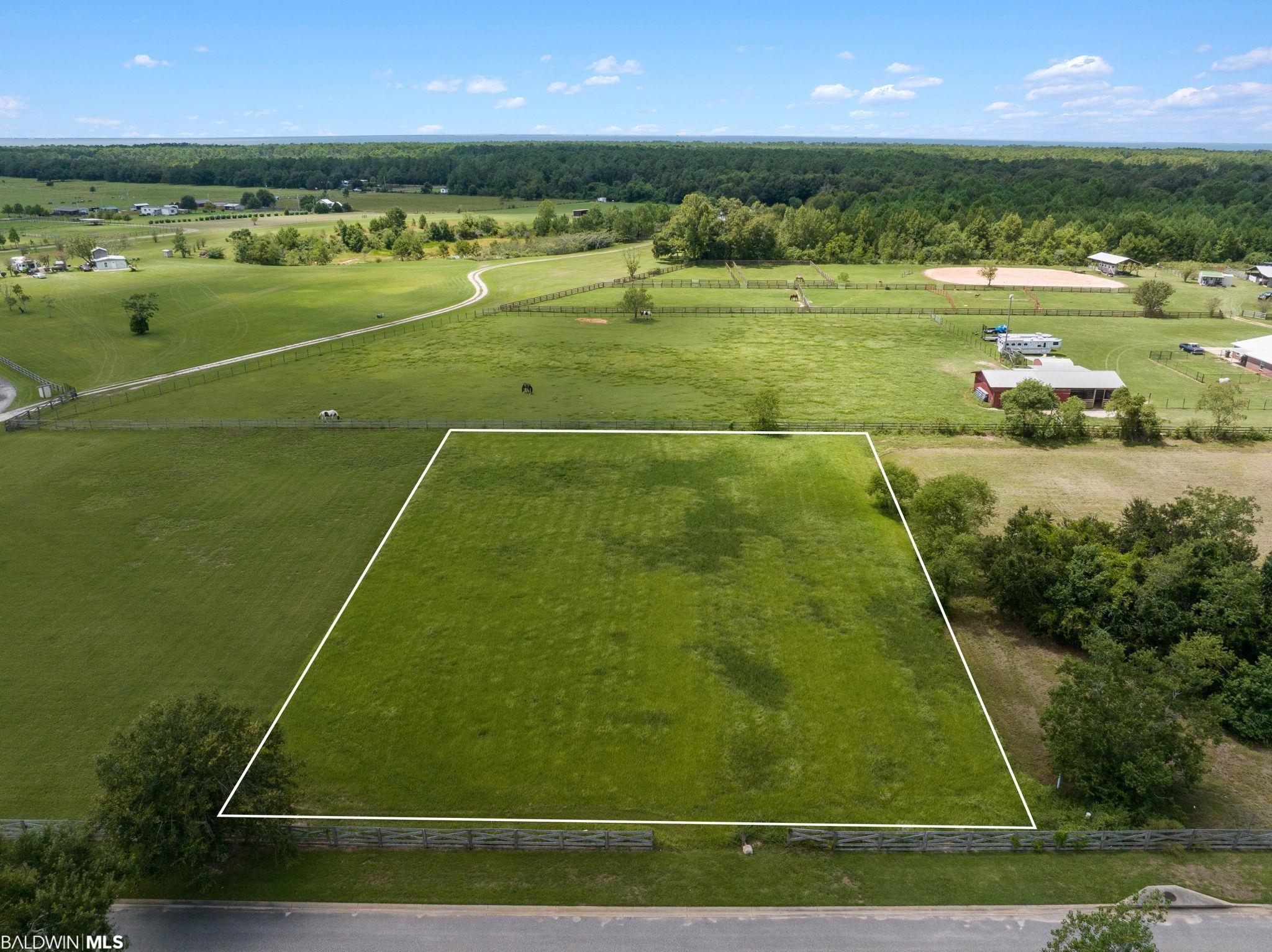 Lot 7Horses-n-Hounds Foley, AL |  Photo