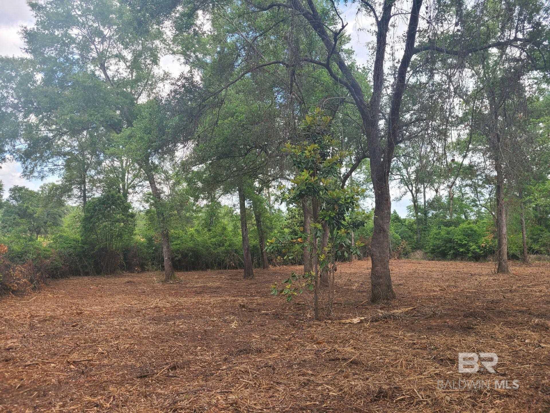 Land for sale in Summerdale, Alabama, 351723