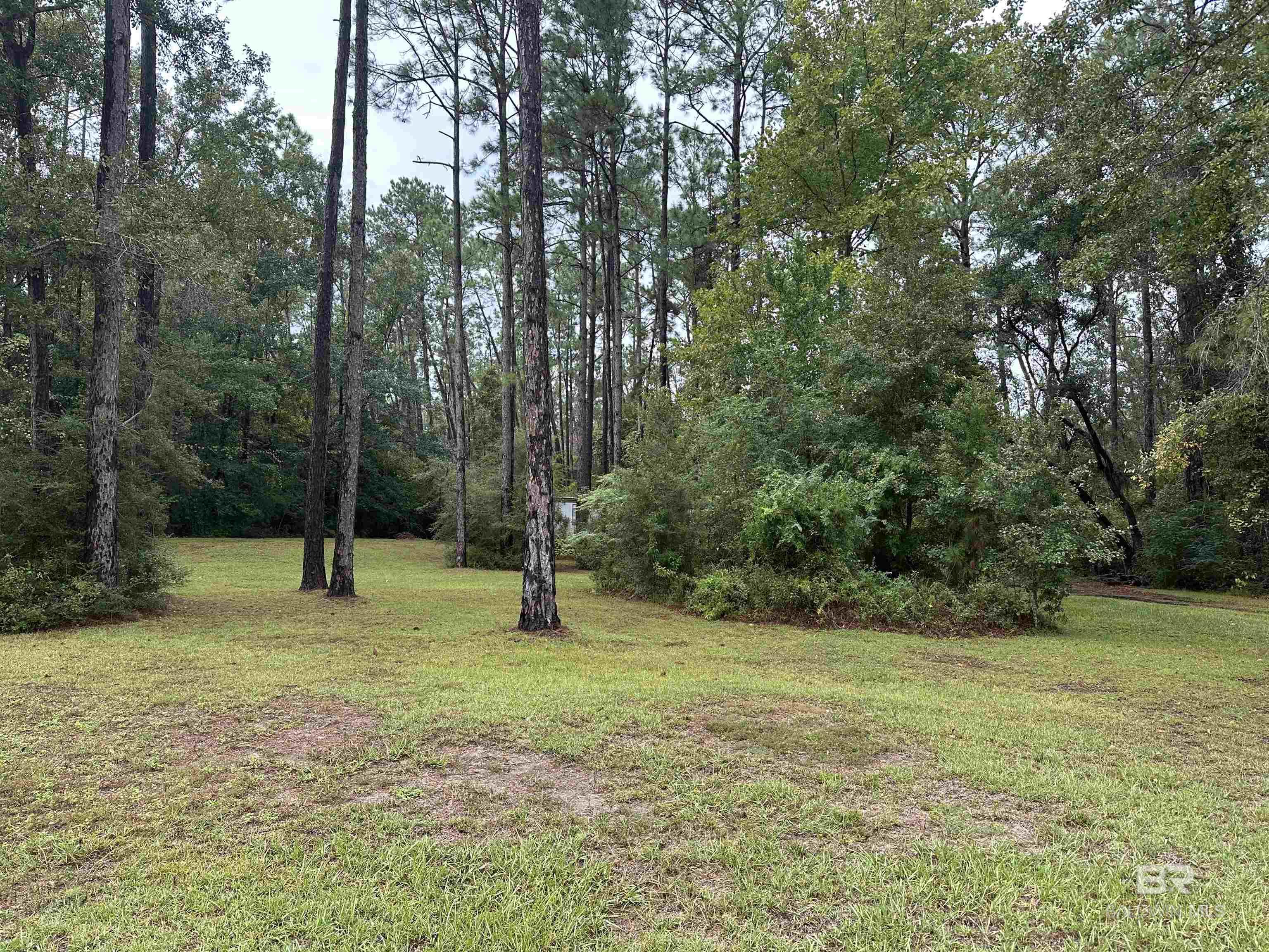23417Swift Road Elberta, AL Photo