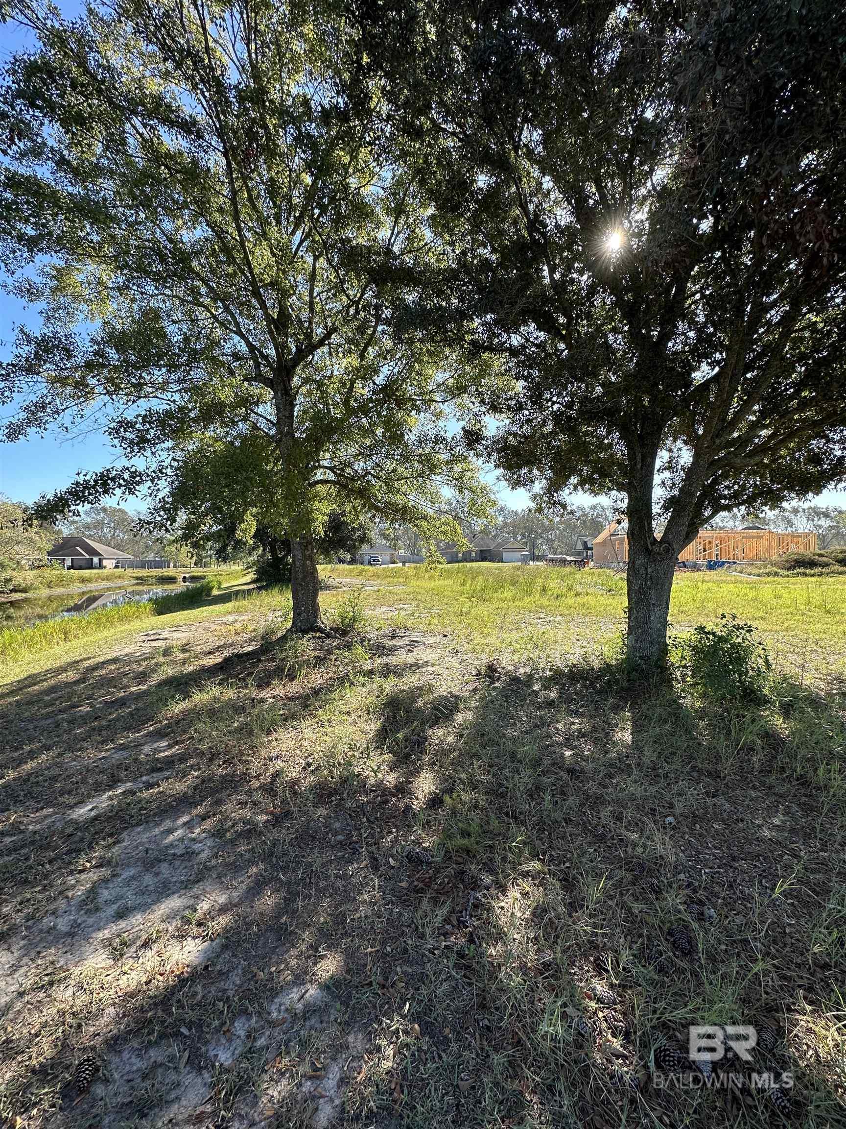 0 NEWMAN ROAD, Mobile, AL 36695 Baldwin REALTORS®