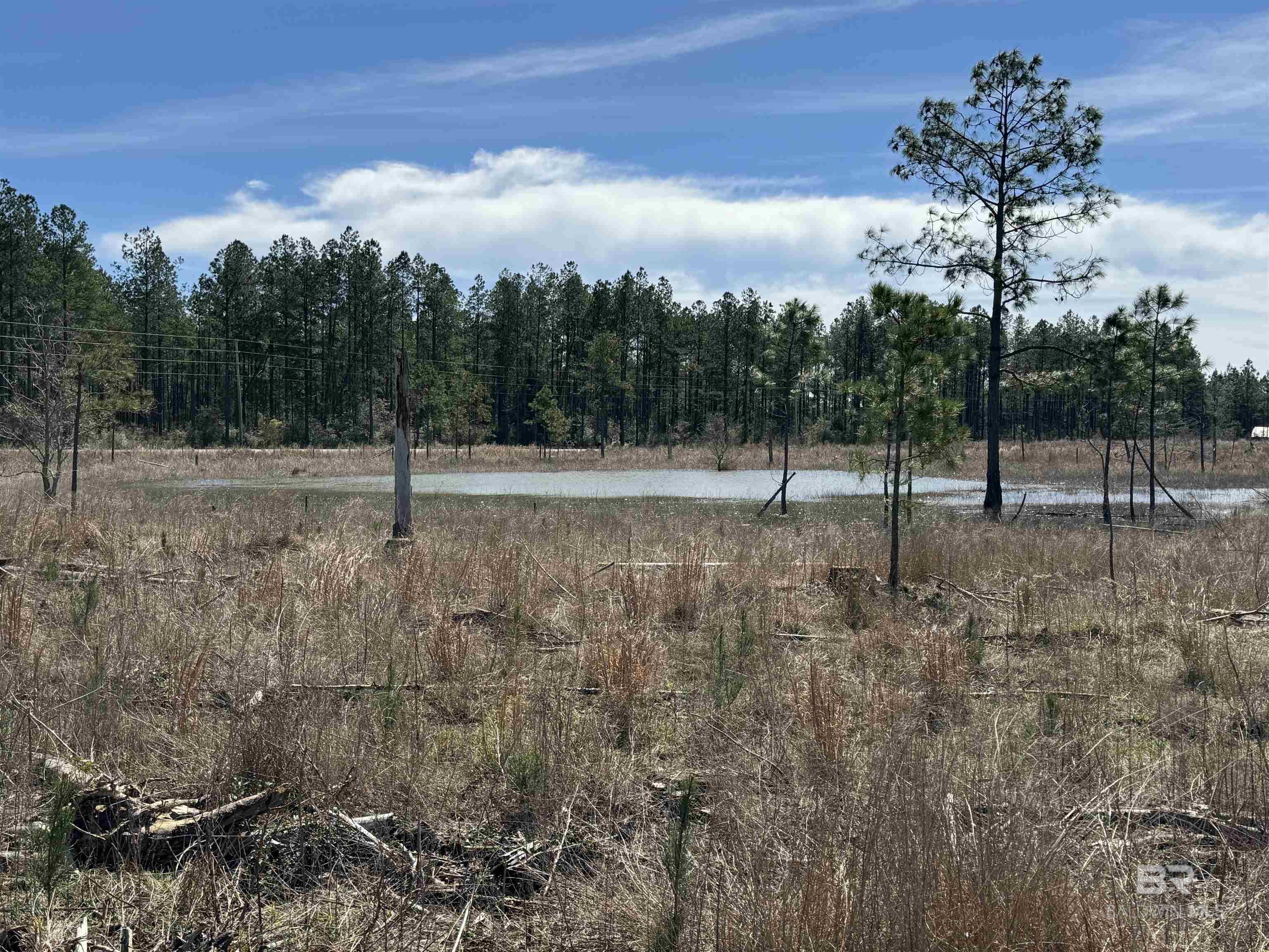 8 County Road 64