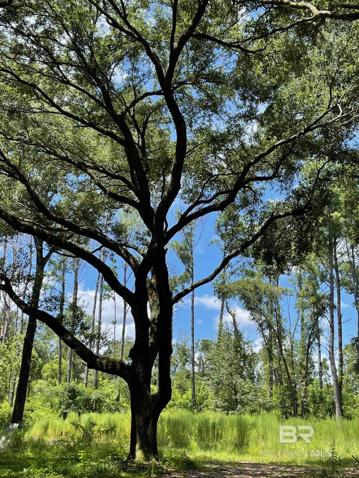 Fairhope Homes from $100,000-$200,000