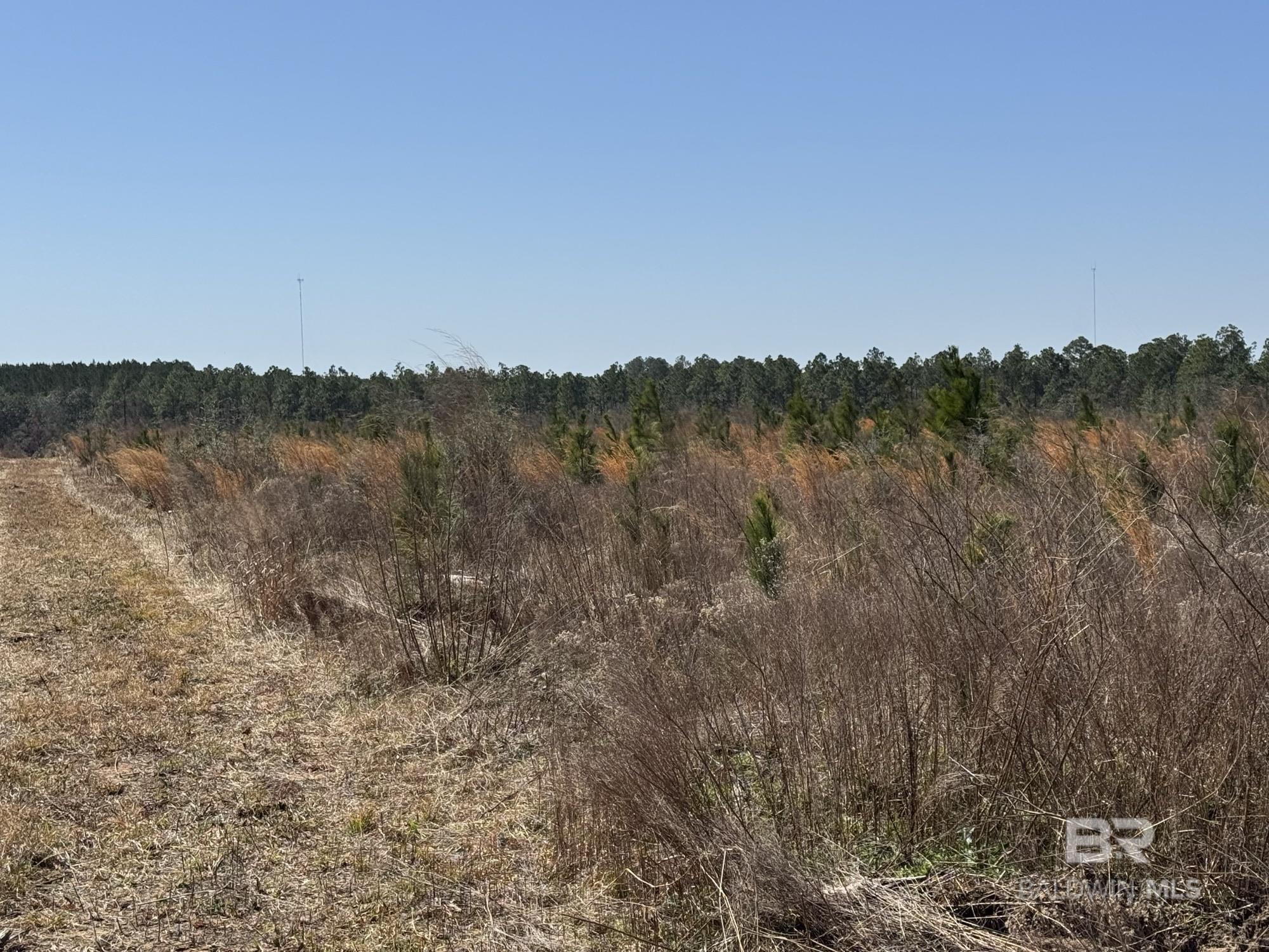 4 County Road 64