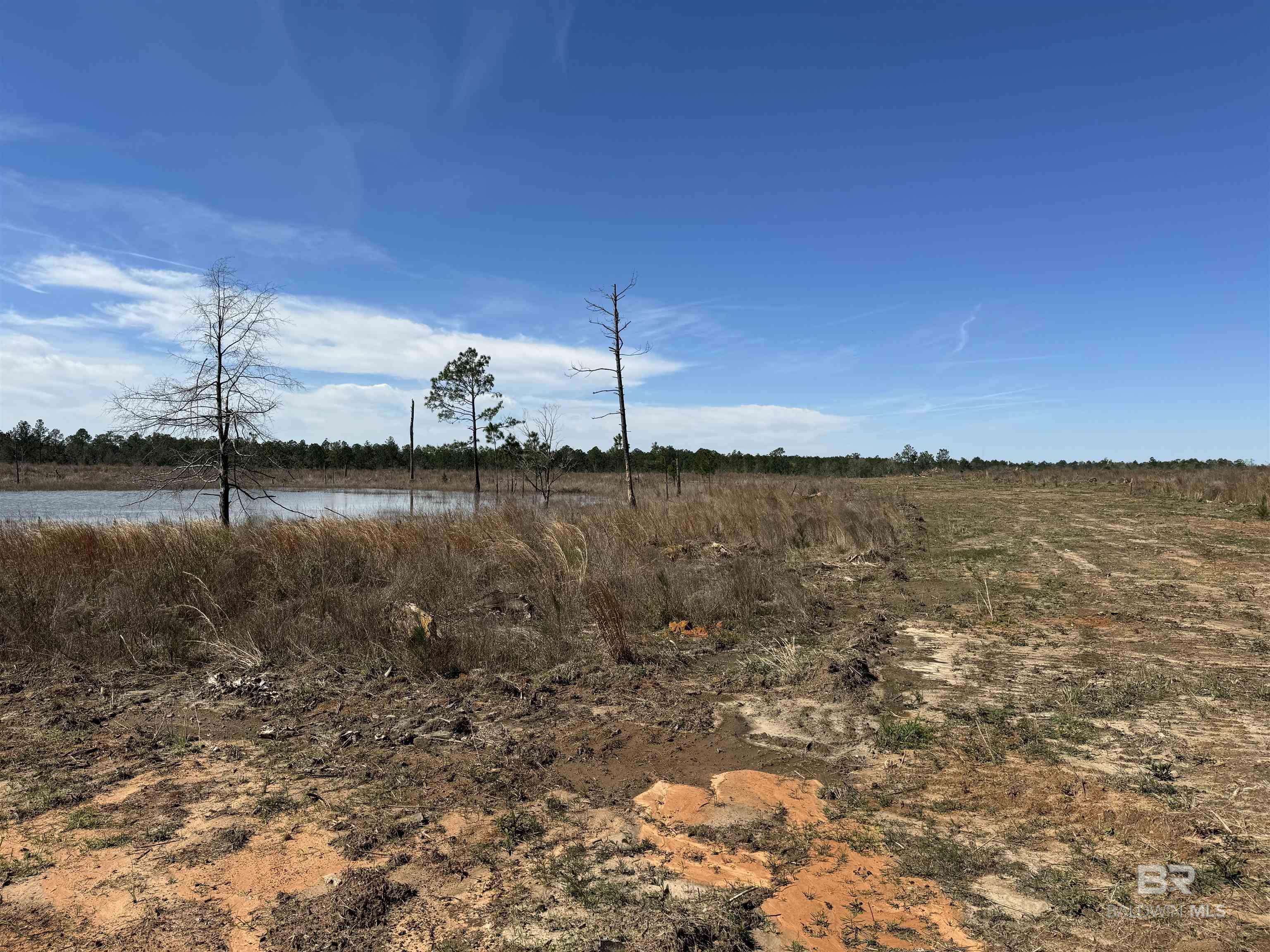 4 County Road 64