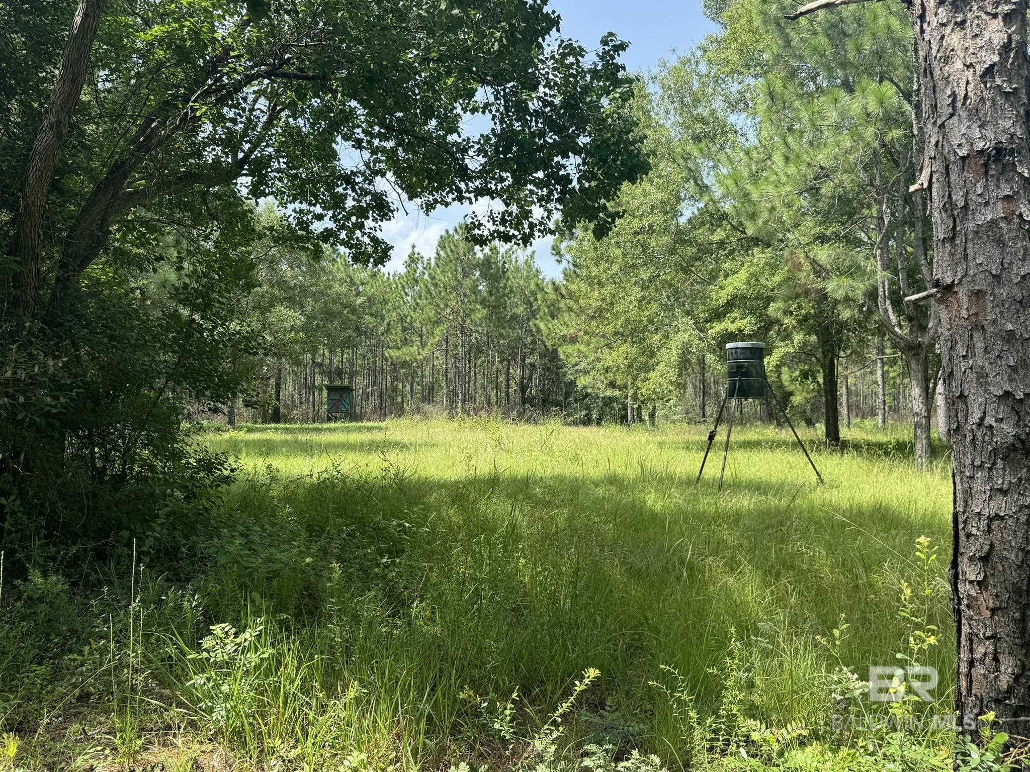 Condos for Sale in Phoenix I Orange Beach