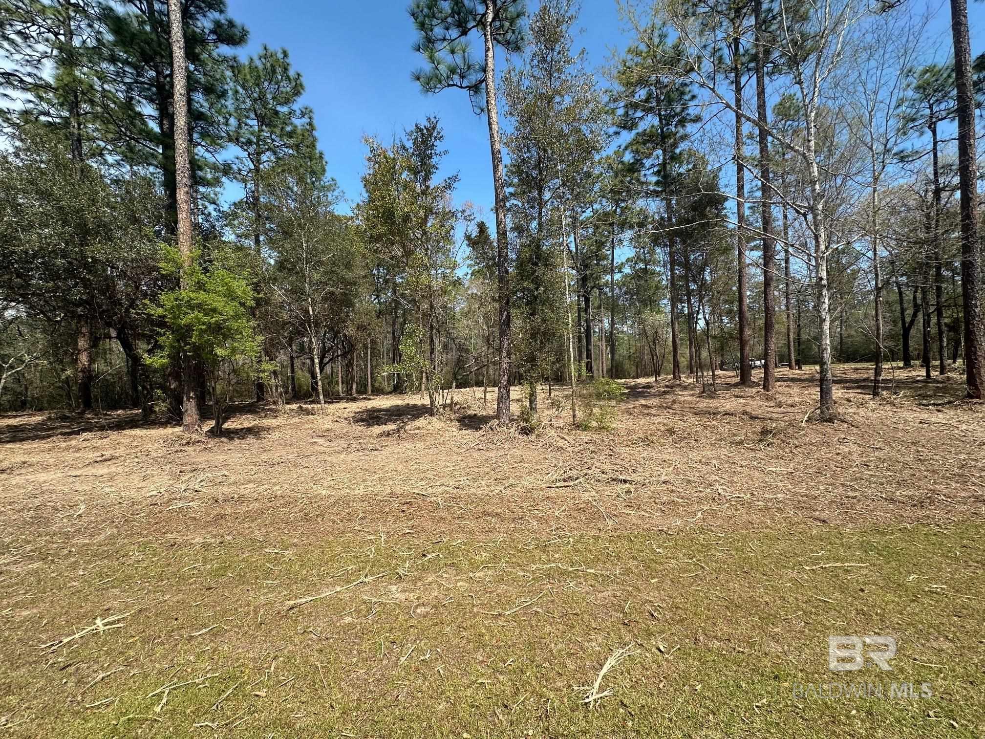 Exceptional residential lot, 1.24 acre, in the beautiful Steelwood community. Preserve Lot 48 sits high and level with beautiful trees on the corner of Pine Valley Court and Steelwood Ridge Road. Steelwood is a private gated community with a neighborhood pool, playground, pavilion, dog park and community Chapel. Steelwood Country Club offers an 18-hole Championship golf course, premiere bass lake fishing, quail hunting, pools and excellent Clubhouse dining! All information provided is deemed reliable but not guaranteed. Buyer or Buyer's agent to verify all information. Buyer to verify all information during due diligence.