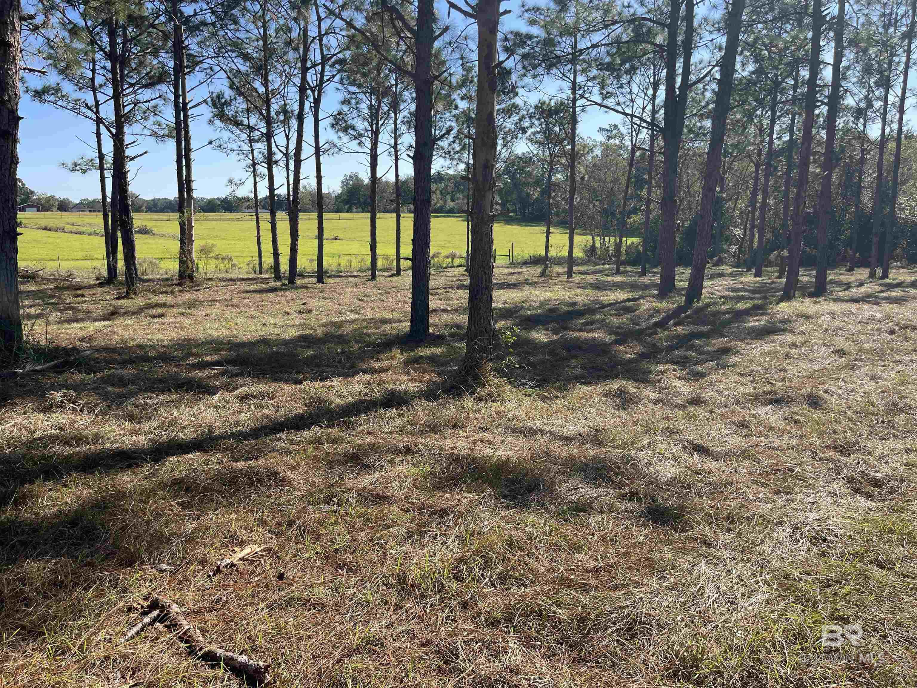 Beautiful 7.53 acres of mature pines in the front and fully wooded in the back. Land is located in the county just outside City of Loxley city limits. Looking for quiet, but close to town? Here it is!  Land is high and dry on the front and great for building your dream home. Land in the back is wooded and probably low enough to build a pond. There are deer in abundance. Great location is about 3 minutes from I-10, 2 minutes to downtown Loxley, 15 minutes to Foley, 10 minutes to Daphne, 20 Minutes to Fairhope. City water and Electric is right by the property. This is rare, but minerals rights go with this land. Buyer to verify all information during due diligence.