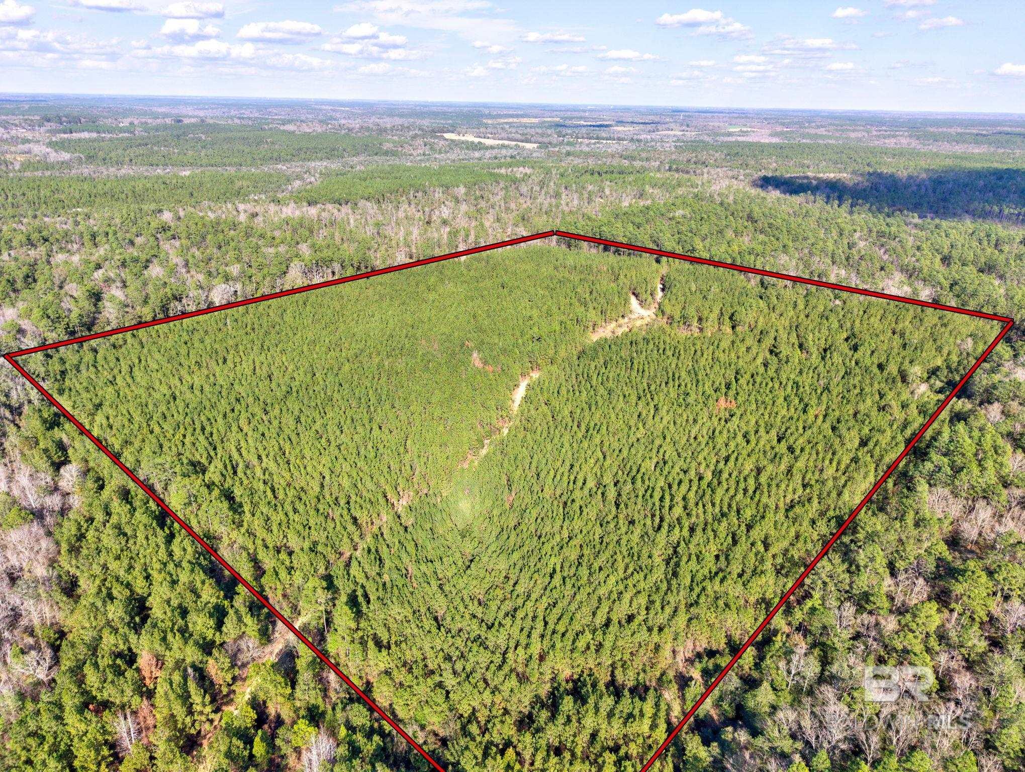 Bay Minette AL Real Estate