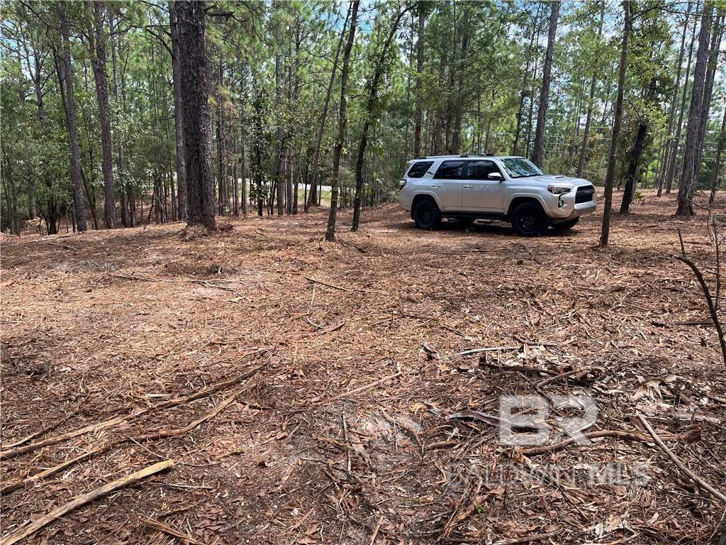 Land For Sale in Spanish Fort AL