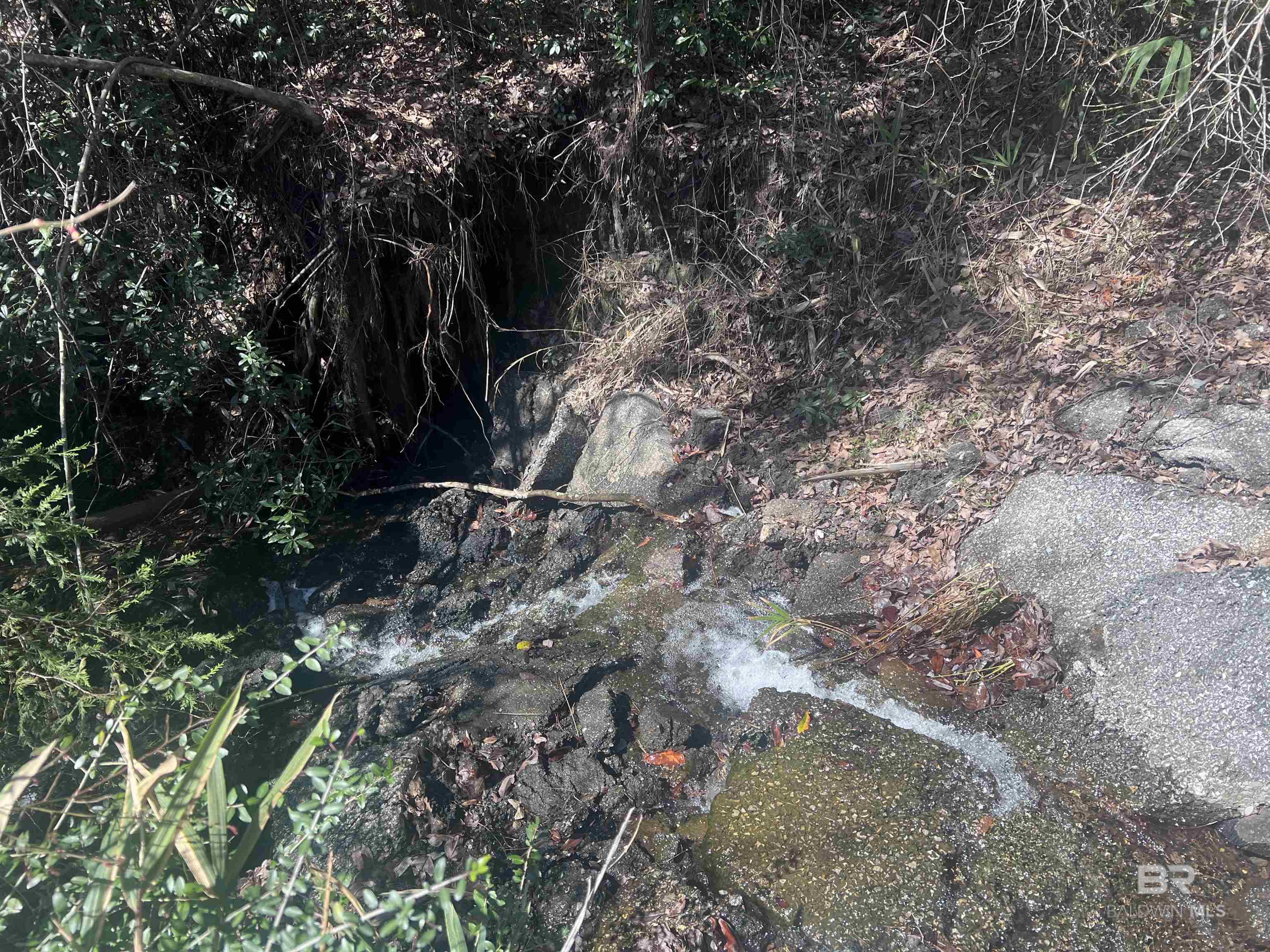 Homes for sale in Atmore, AL | 06 Robinsonville Road, Atmore, AL 36502 | MLS# 375312