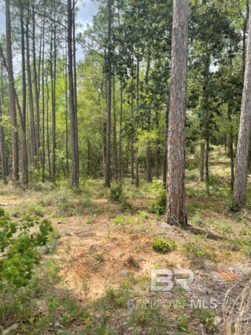 Land For Sale in Daphne AL