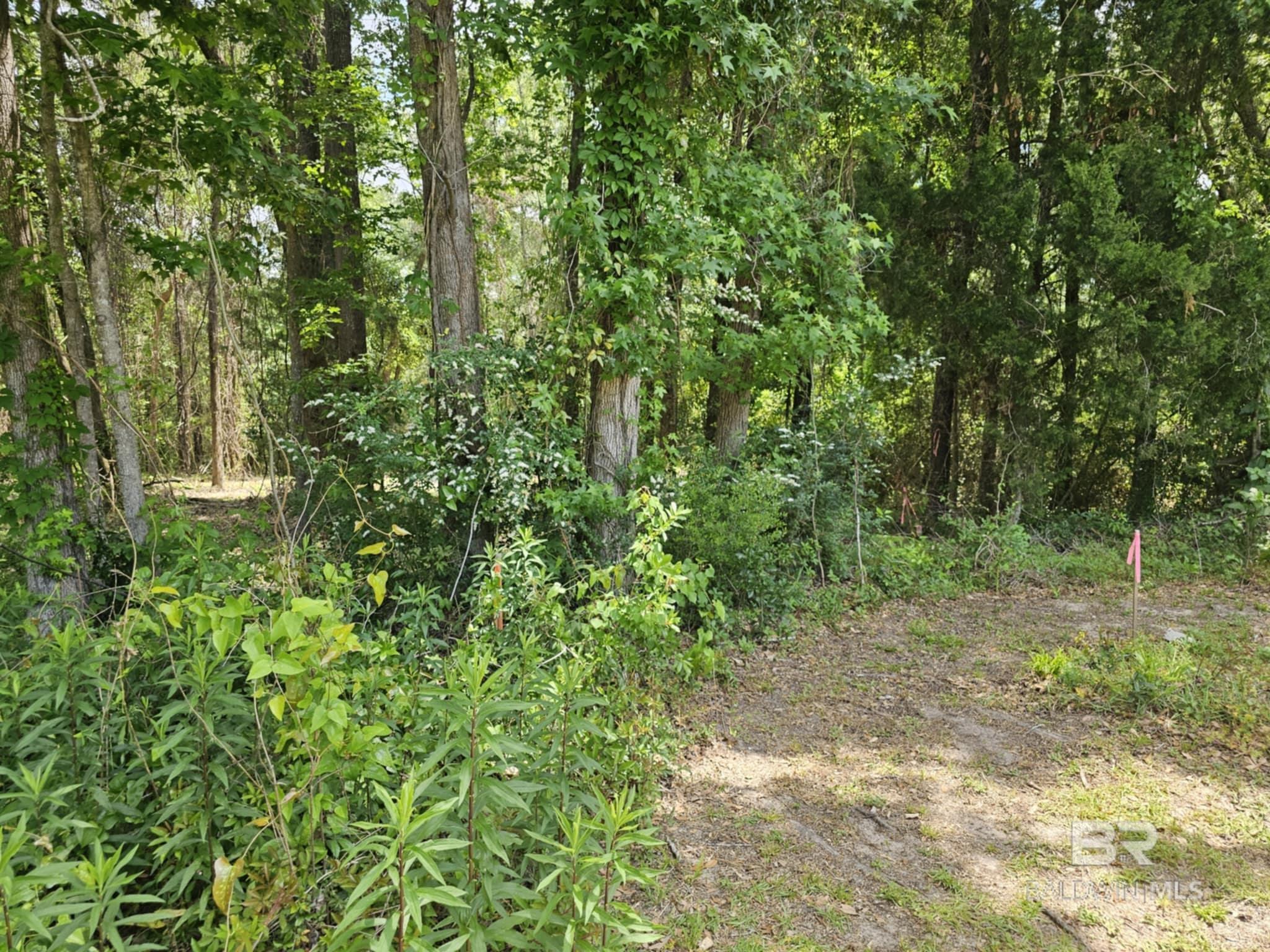 Land For Sale in Spanish Fort AL