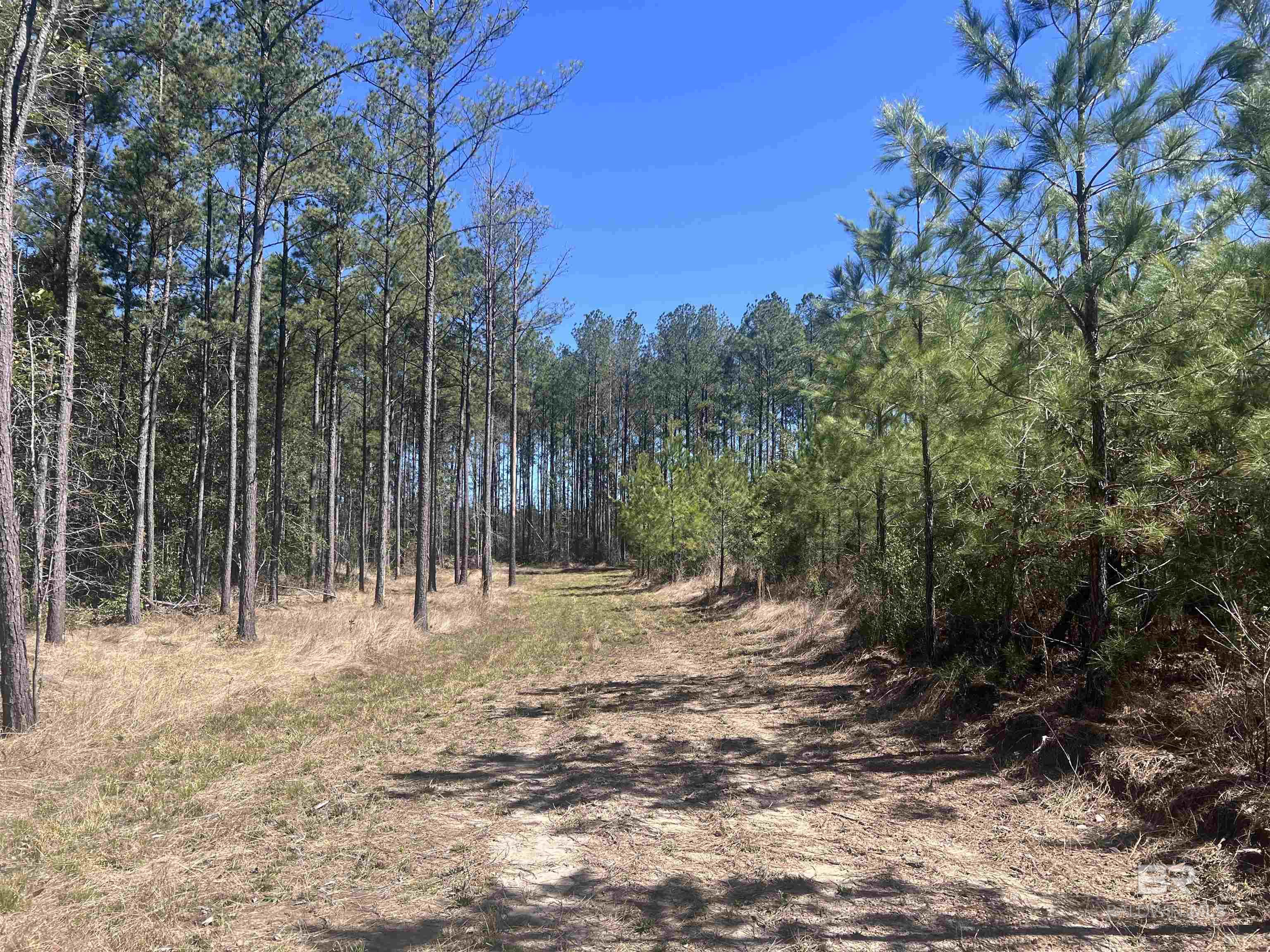 Homes for sale in Atmore, AL | 04 Robinsonville Road, Atmore, AL 36502 | MLS# 378526