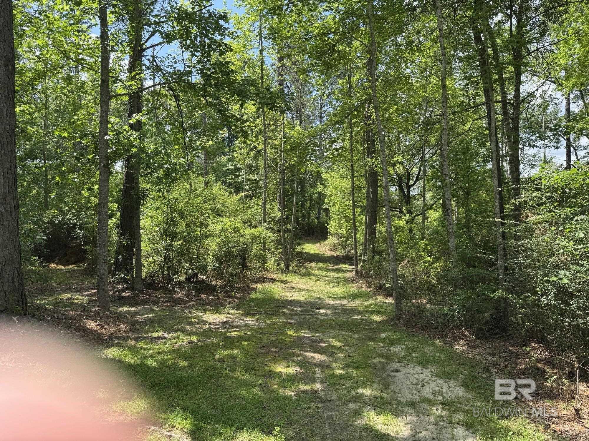 15760 Pine Grove Rd Extension