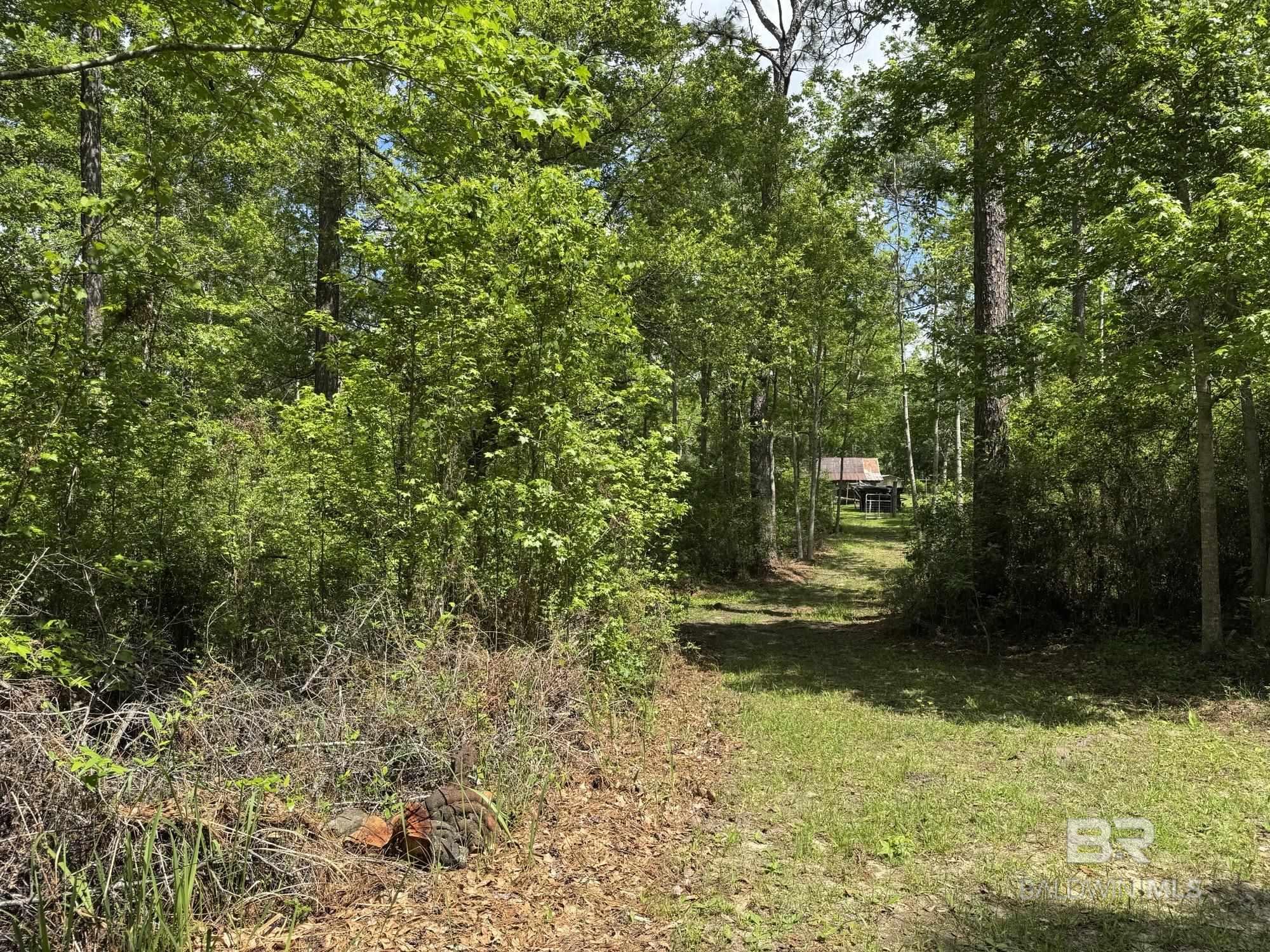 15760 Pine Grove Rd Extension