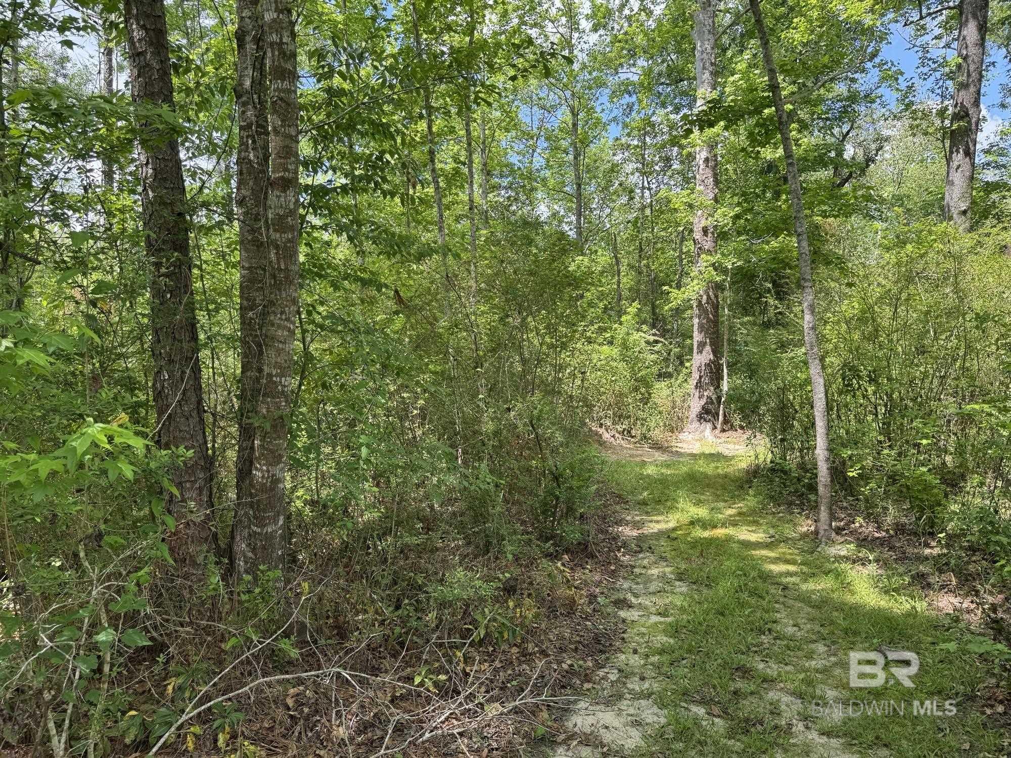 15760 Pine Grove Rd Extension