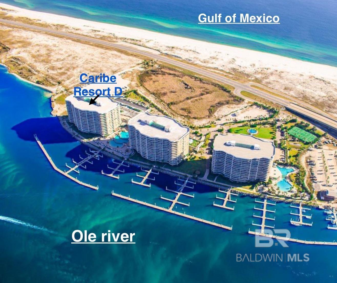 Condos for Sale in Caribe Resort Orange Beach