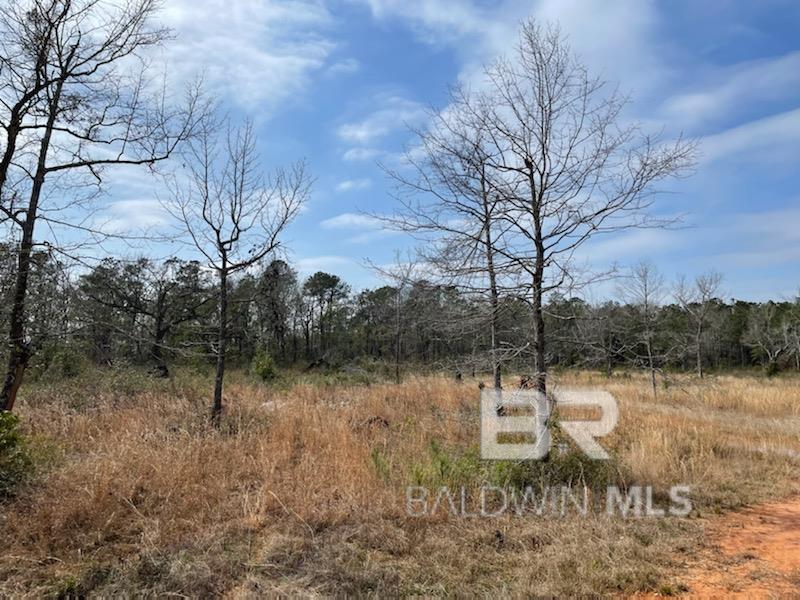 Land For Sale in Fairhope AL