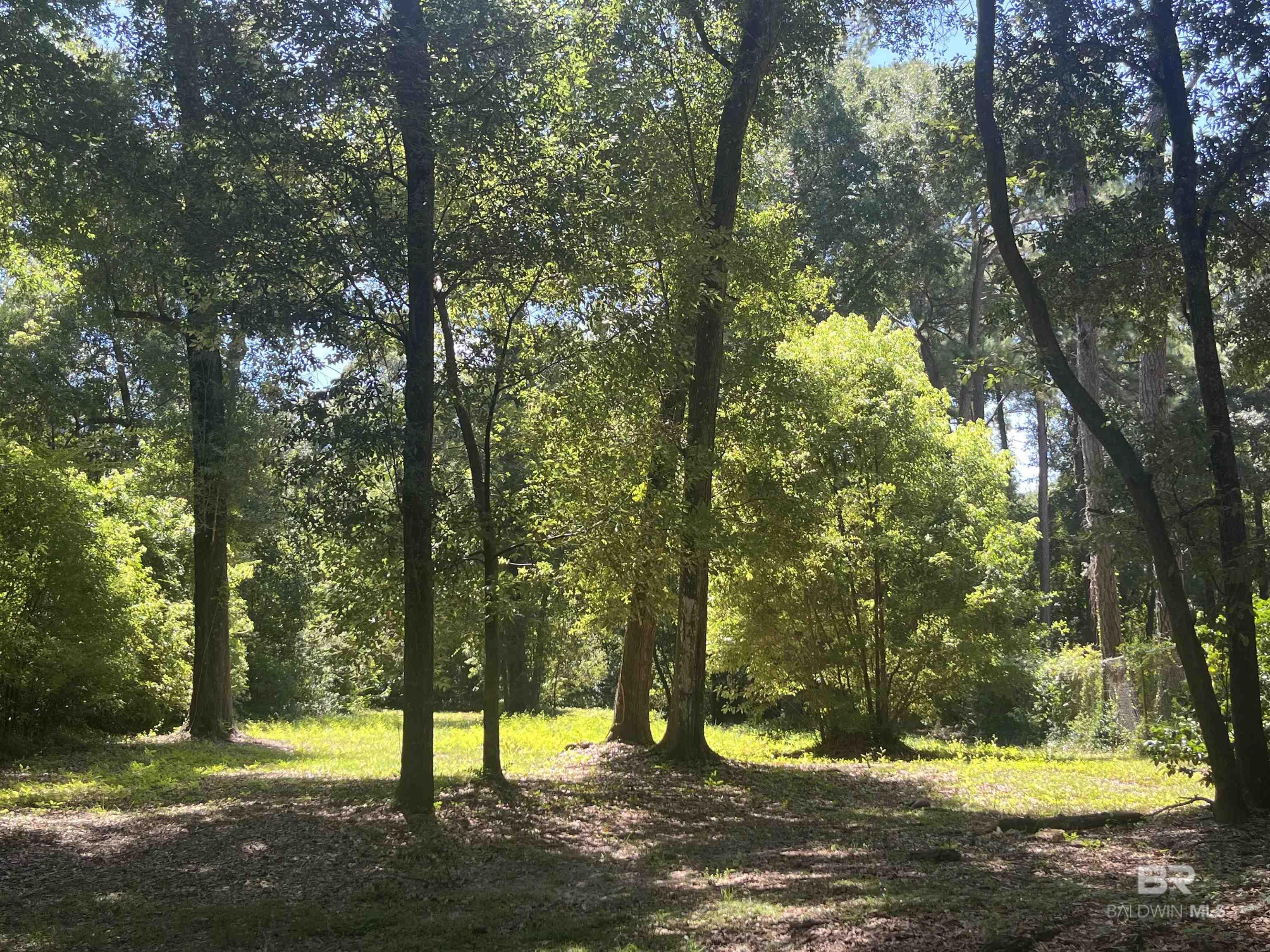 Land For Sale in Fairhope AL