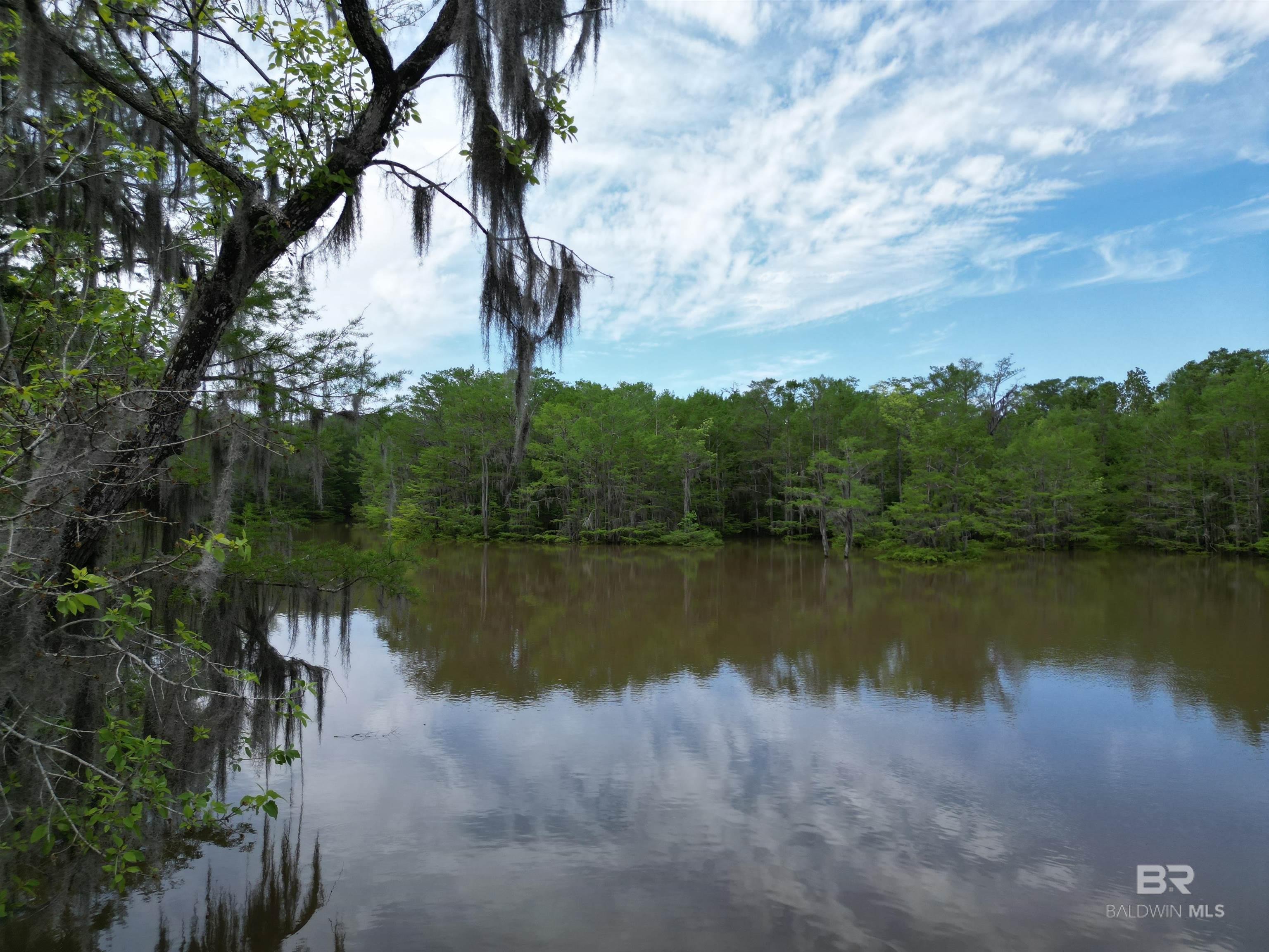 Condos for Sale in Phoenix I Orange Beach