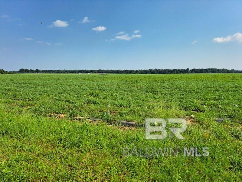 MILTON, FL - 157 ACRES OFFERING PRIME DEVELOPMENT OPPORTUNITY! 2227" Paved Road frontage. Welcome to an extraordinary opportunity to shape your dream community or personal estate on this expansive 157-acre tract of land for sale in Santa Rosa County. With a leaseback option and conveniently located next to the military bases, this property presents limitless potential for investors, homebuilders, and farmers alike. IDEAL LOCATION FOR MILITARY FAMILIES situated just one mile from Whiting Naval Air Station and approximately four miles from Point Baker Air Force Base. This offers a solution for military families seeking housing options with an easy commute to work, making it an attractive prospect..SALE/LEASEBACK OPTION for the farmland provides a steady income of $200.00 per acre. This unique opportunity allows you to bring in income while actively developing. CLEARED, LEVEL LANDSCAPE, READY FOR DEVELOPMENT the property boasts a cleared and level landscape, enhancing its appeal for potential developers. Enjoy easy accessibility with over 2,200 feet of paved road frontage along Jesse Allen Rd and just a half-mile from Hwy 87. PERFECT FOR FARMING OR GARDENING equipped with an irrigation system. The cleared expanse invites creative land use, providing an opportunity for agricultural pursuits alongside development. Nestled in the charming area of Allentown, Santa Rosa County, this property offers a tranquil and comfortable living environment. Residents can indulge in various recreational activities, including hunting, canoeing, and camping. Most residents in the area own their homes, and local public schools receive high ratings. Seize the Moment and Make This Prime Development Opportunity Yours! Whether You're an Investor, Homebuilder, or Farmer, This Property is The Perfect Canvas for Your Vision. Contact Us Now to Unlock the Endless Possibilities! Buyer to verify all information during due diligence.