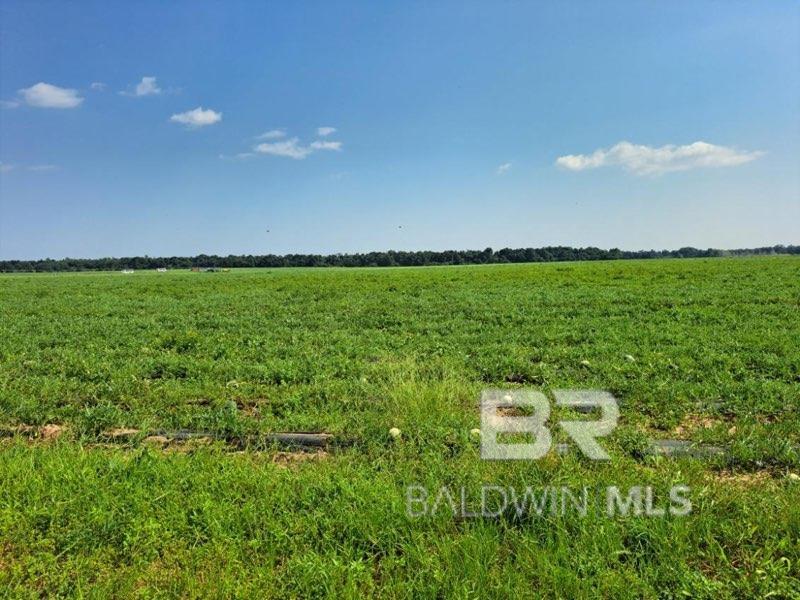 MILTON, FL - 157 ACRES OFFERING PRIME DEVELOPMENT OPPORTUNITY! 2227" Paved Road frontage. Welcome to an extraordinary opportunity to shape your dream community or personal estate on this expansive 157-acre tract of land for sale in Santa Rosa County. With a leaseback option and conveniently located next to the military bases, this property presents limitless potential for investors, homebuilders, and farmers alike. IDEAL LOCATION FOR MILITARY FAMILIES situated just one mile from Whiting Naval Air Station and approximately four miles from Point Baker Air Force Base. This offers a solution for military families seeking housing options with an easy commute to work, making it an attractive prospect..SALE/LEASEBACK OPTION for the farmland provides a steady income of $200.00 per acre. This unique opportunity allows you to bring in income while actively developing. CLEARED, LEVEL LANDSCAPE, READY FOR DEVELOPMENT the property boasts a cleared and level landscape, enhancing its appeal for potential developers. Enjoy easy accessibility with over 2,200 feet of paved road frontage along Jesse Allen Rd and just a half-mile from Hwy 87. PERFECT FOR FARMING OR GARDENING equipped with an irrigation system. The cleared expanse invites creative land use, providing an opportunity for agricultural pursuits alongside development. Nestled in the charming area of Allentown, Santa Rosa County, this property offers a tranquil and comfortable living environment. Residents can indulge in various recreational activities, including hunting, canoeing, and camping. Most residents in the area own their homes, and local public schools receive high ratings. Seize the Moment and Make This Prime Development Opportunity Yours! Whether You're an Investor, Homebuilder, or Farmer, This Property is The Perfect Canvas for Your Vision. Contact Us Now to Unlock the Endless Possibilities! Buyer to verify all information during due diligence.