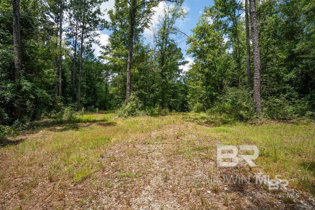 Land For Sale in Spanish Fort AL