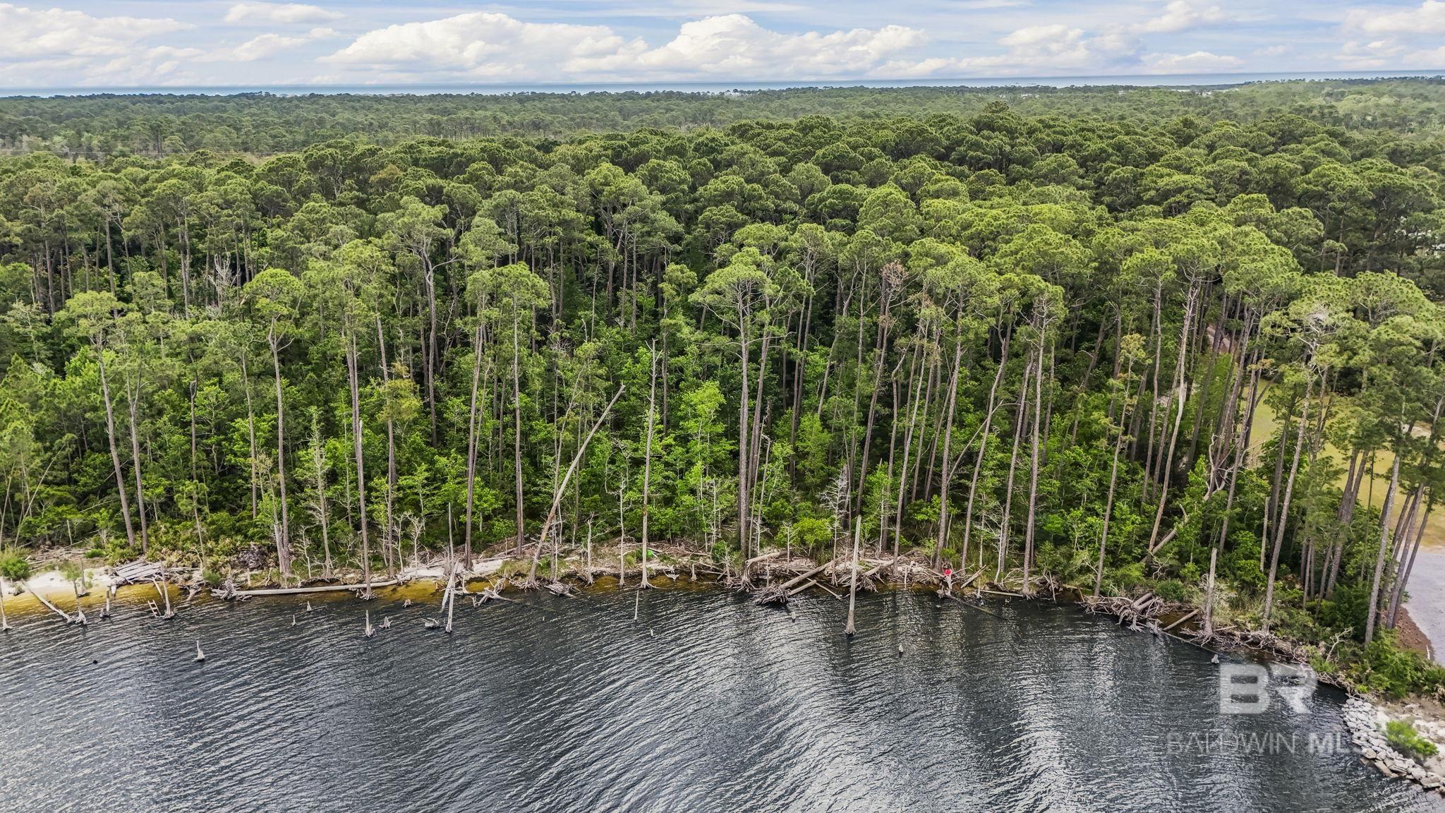 Land For Sale in Gulf Shores AL