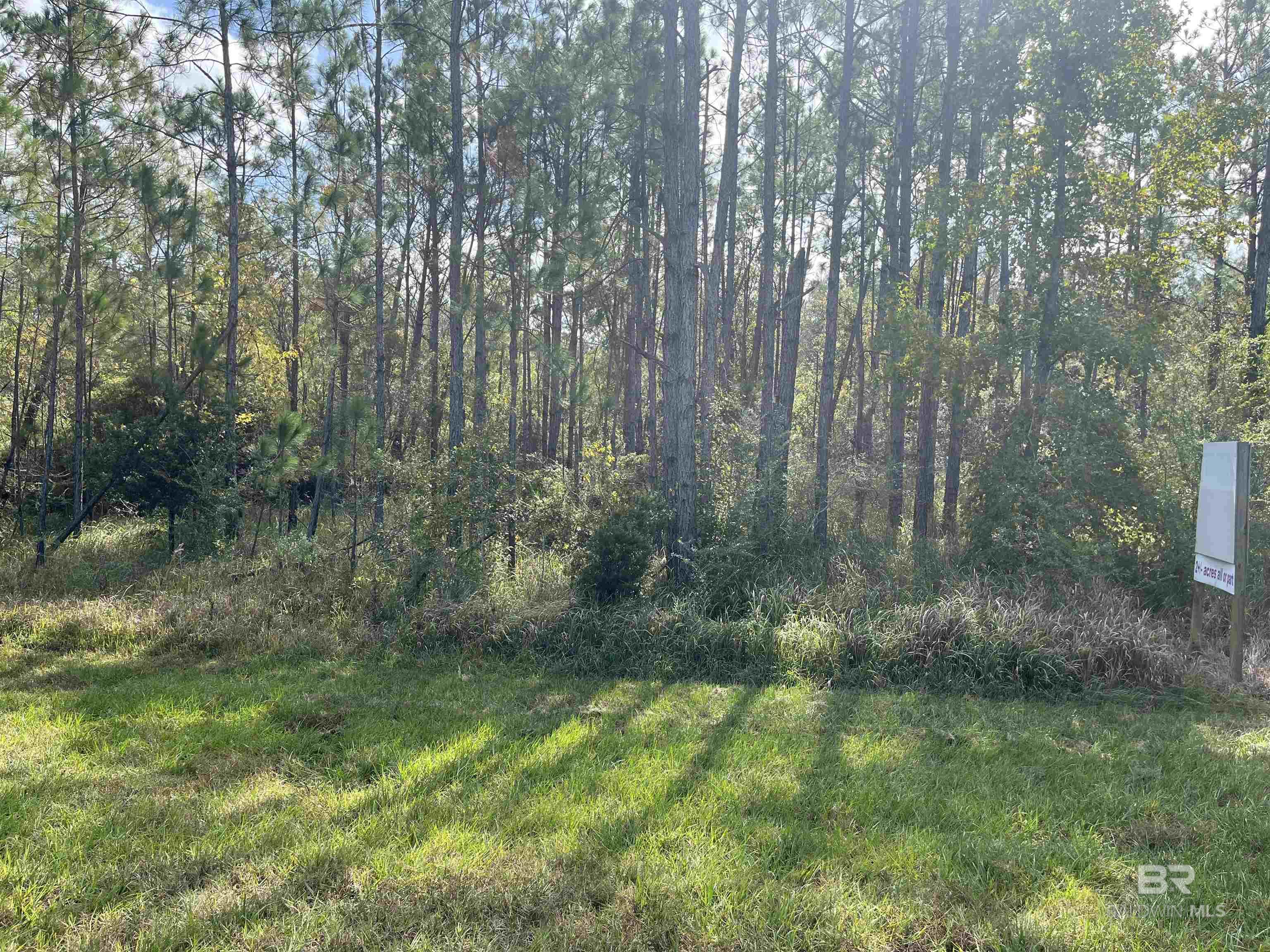 Land For Sale in Foley AL