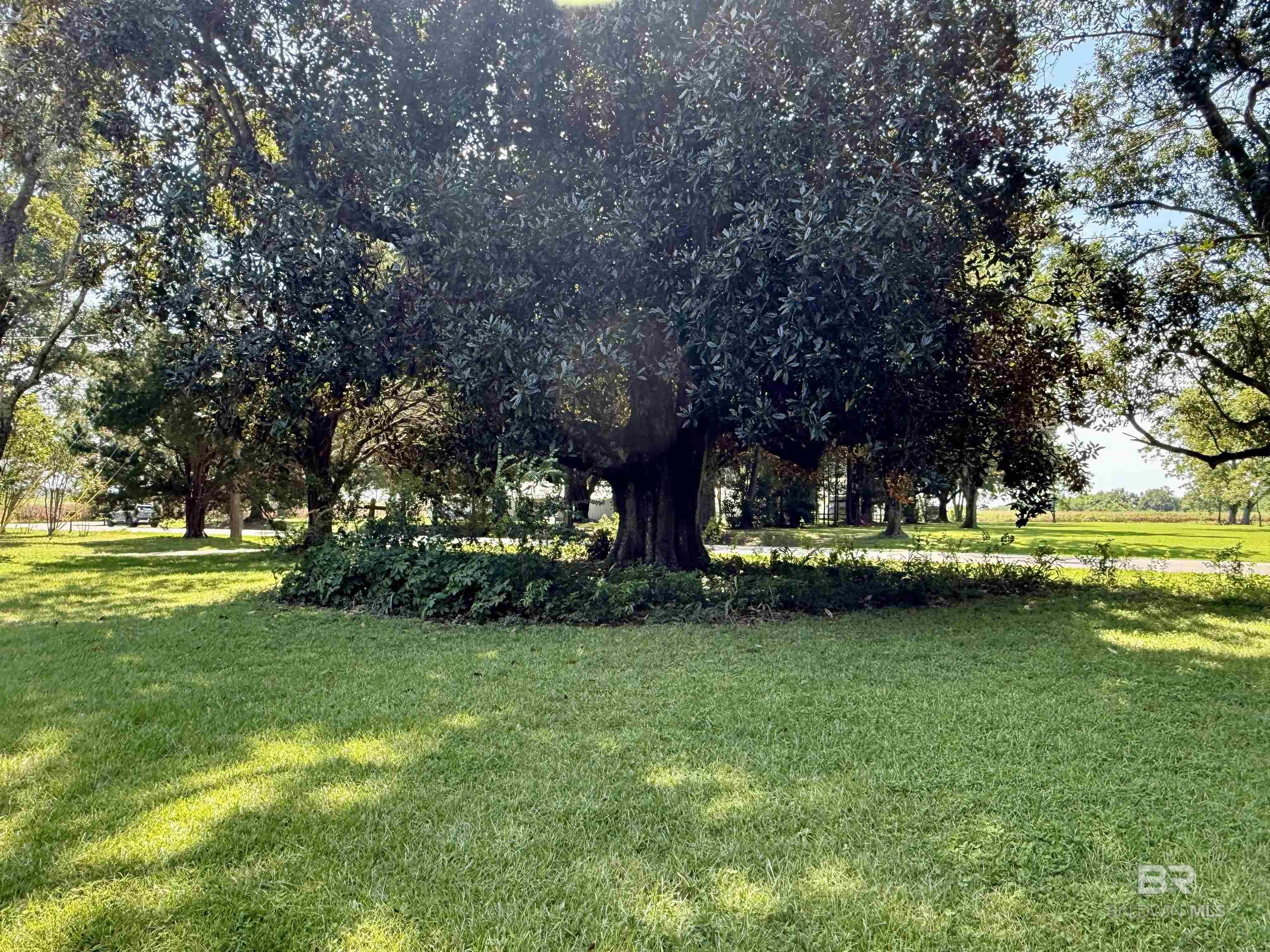 16627 County Road 26, Foley, AL, 36535