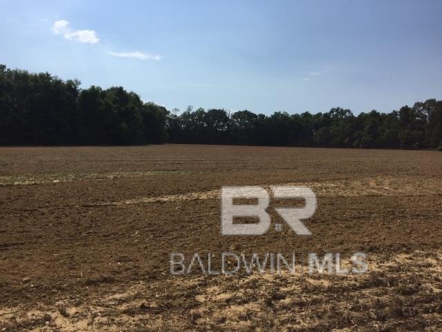 Homes for Sale in Belforest - Daphne AL