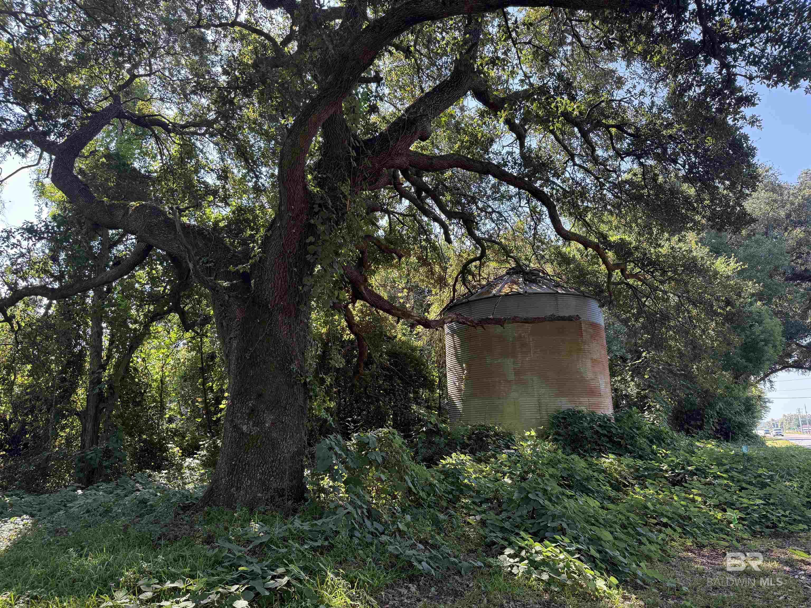 Land For Sale in Foley AL