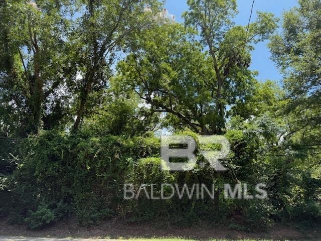 Land For Sale in Daphne AL